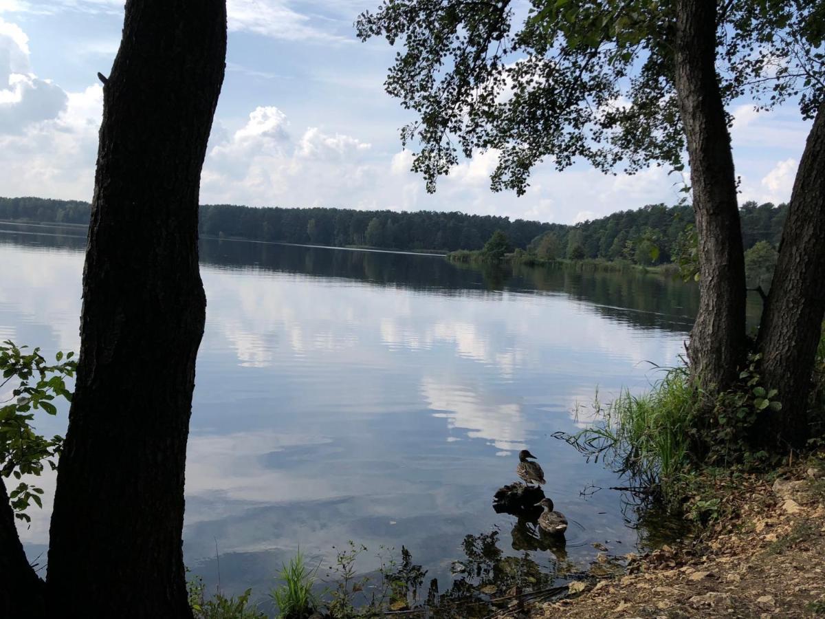 Family Sauna Apartments: Forest Retreat At Cedzyna Kielce
